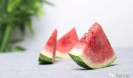 四人吃瓜图片,四口之家共享夏日瓜果时光