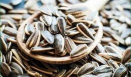 夸瓜子瓜怎么吃,解锁美味新境界