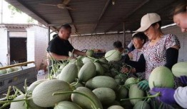 吃瓜去山顶,一场别开生面的山顶盛宴