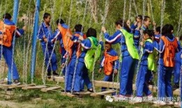 课后吃瓜拓展训练,趣味学习新体验