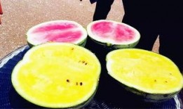 看看社区吃瓜爆料,吃瓜爆料背后的真相与热议