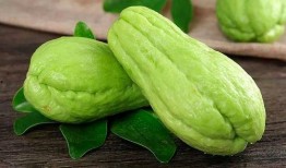 瓜萎怎么吃最佳,最佳食用方法揭秘