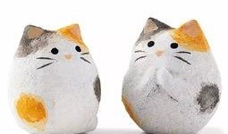 酚酞瓜吃饼干吃不吃,吃还是不吃？