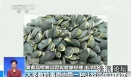 吃瓜应该吐几个瓜子,揭秘瓜子吐出数量的奥秘