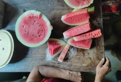 烂瓜吃没了,烂瓜吃没了的智慧启示