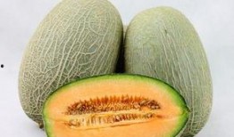 卵巢癌可以吃哈密瓜,哈密瓜助力健康生活