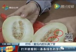 梦见买到蜜瓜吃瓜了,甜蜜蜜瓜之旅
