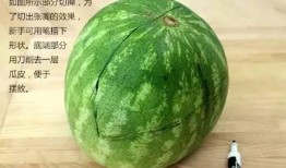 煮了吃的那个瓜叫什么瓜,探寻美味煮食的瓜中佳品