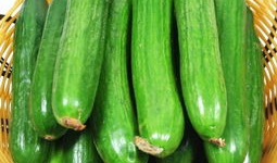 武陟吃瓜习俗,一场独特的民俗盛宴