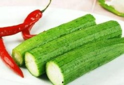 中国血统吃瓜,探寻中国血统的独特魅力