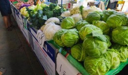 吃瓜骗子摆摊,警惕市民防范！