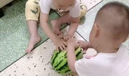 双胞胎 吃瓜,揭秘双胞胎世界的甜蜜与趣味