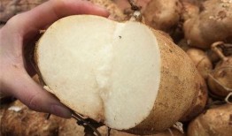 推土式 吃瓜,揭秘网络舆论场中的狂欢与反思